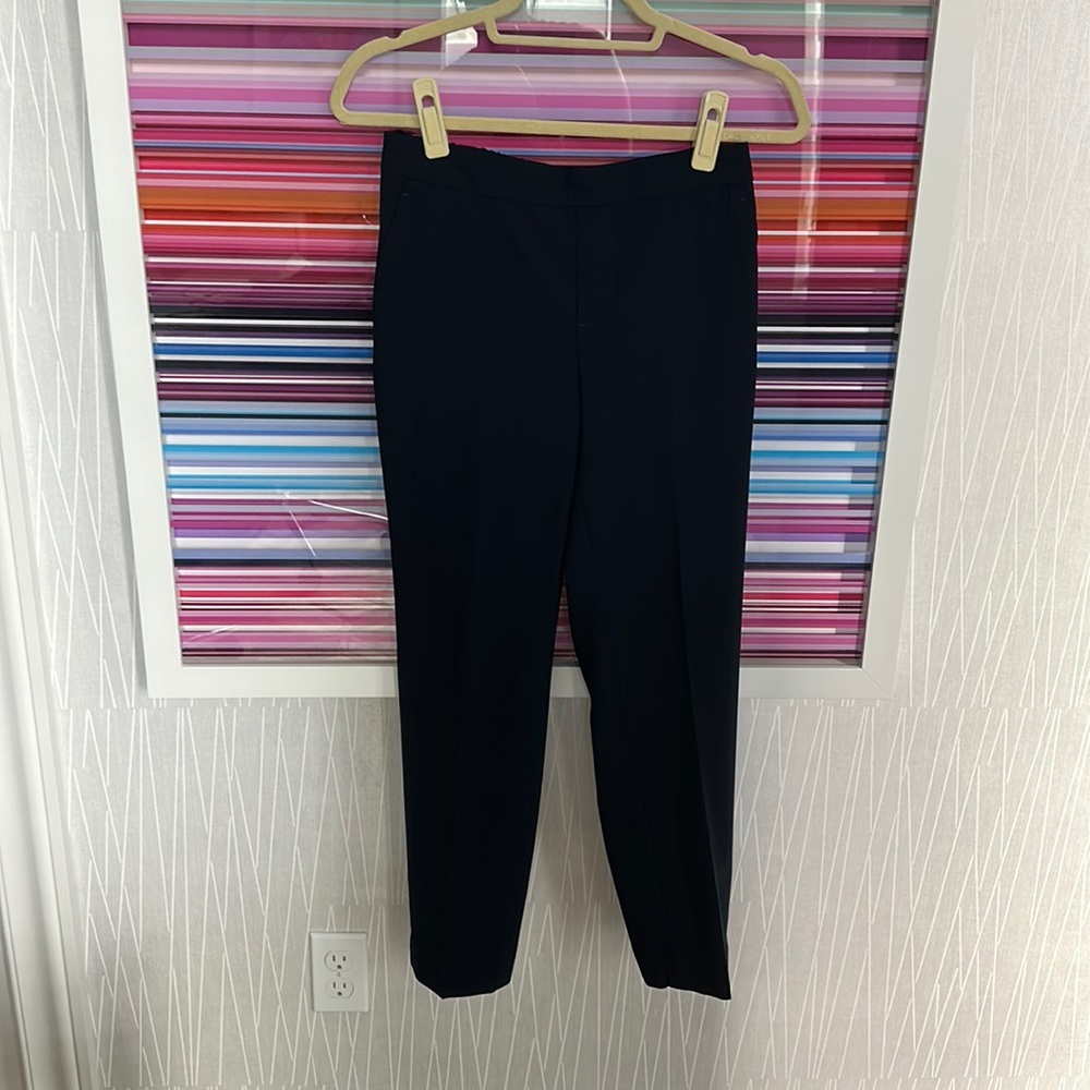 Navy Banana Republic Navy Hayden Pants
